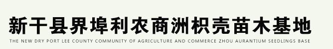<%call ShowMeta(0)   '调用页面title%>
